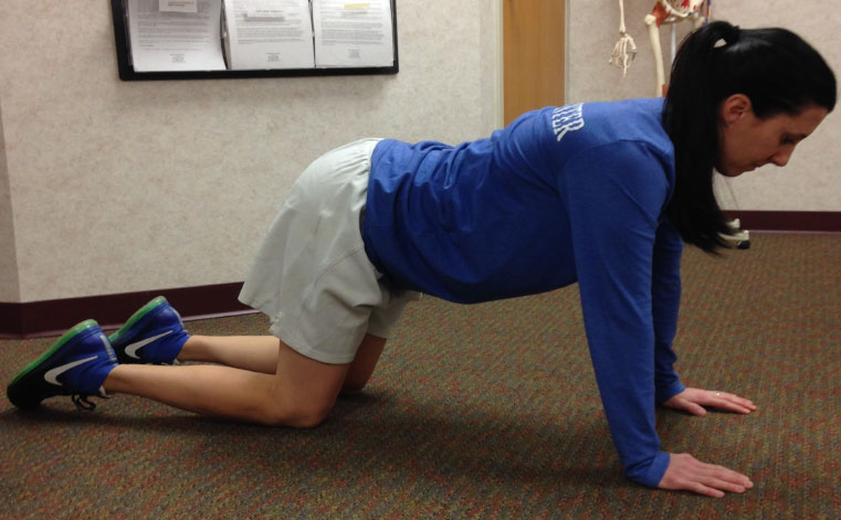 BIRD DOG Exercise for Low Back Pain Relief