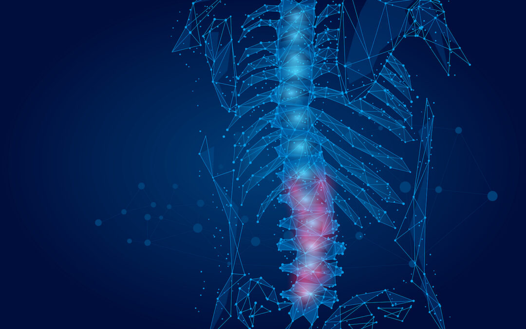 European Spine Journal article